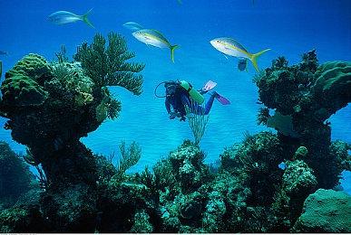 《如龙：极》Switch版真人宣传片 10月25日发售